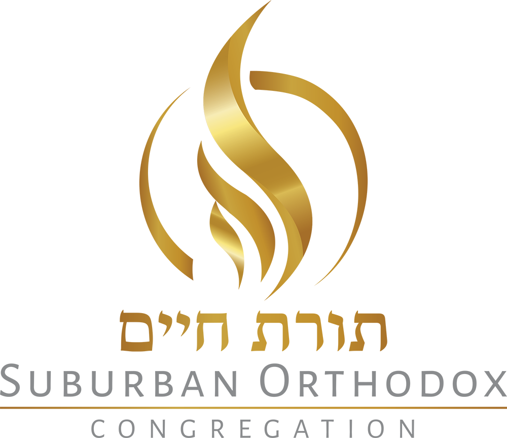 Suburban Orthodox Congregation